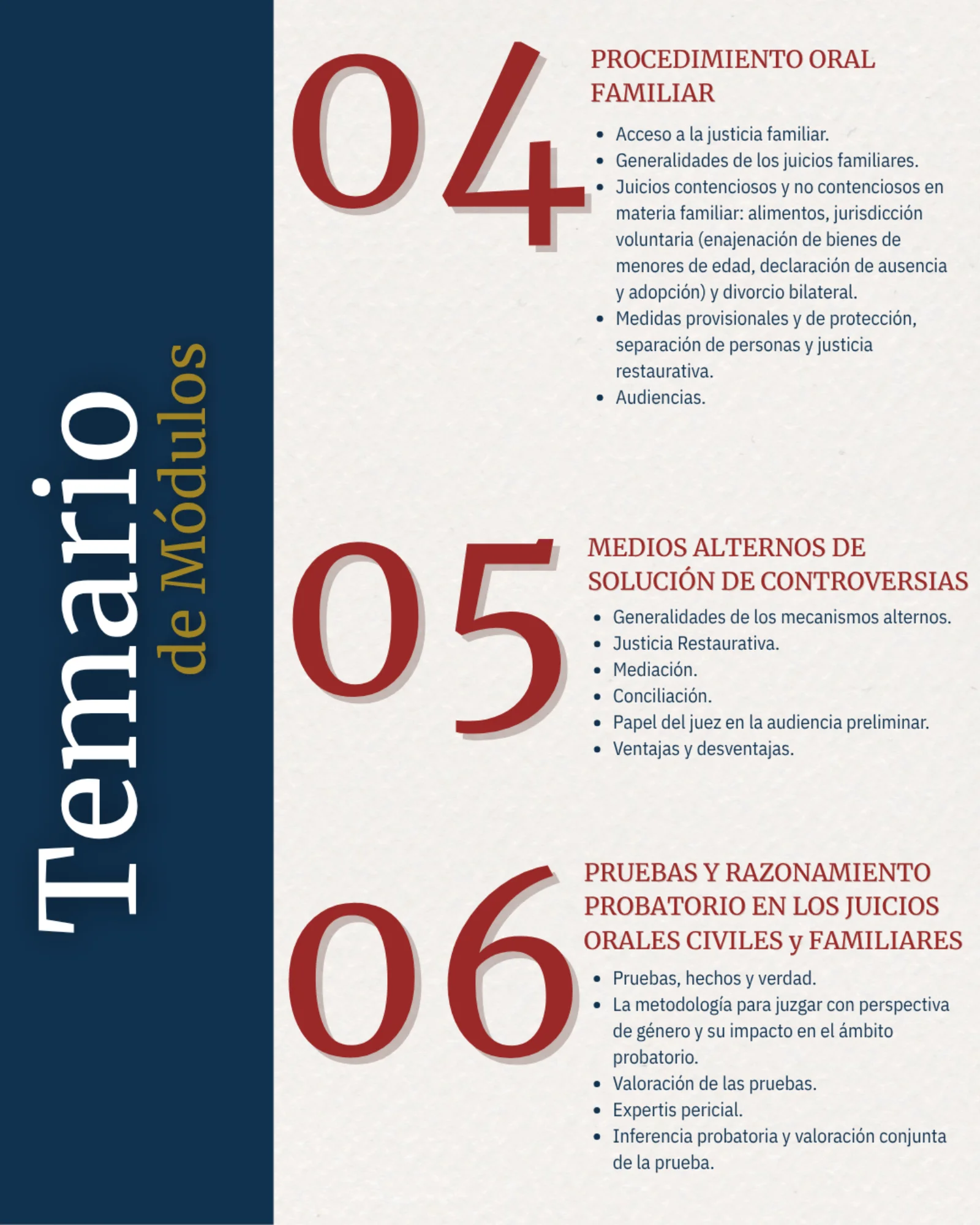 Diplomado Civil y Familiar: Adaptación Transversal a la Oralidad - imagen 3