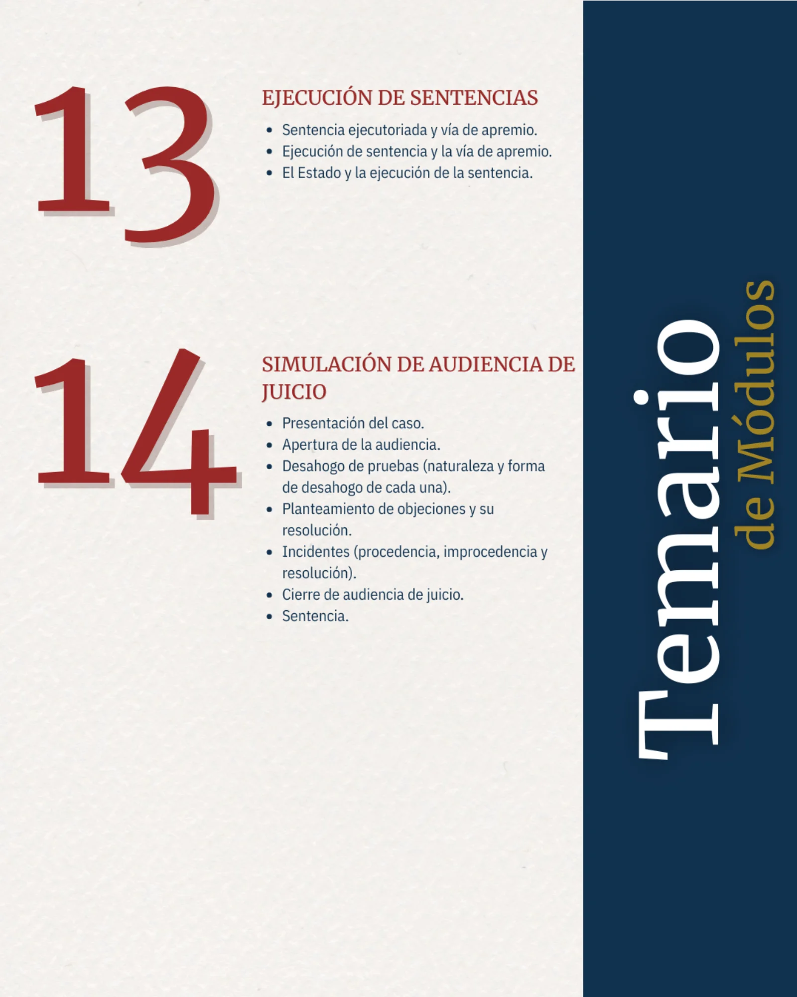 Diplomado Civil y Familiar: Adaptación Transversal a la Oralidad - imagen 6