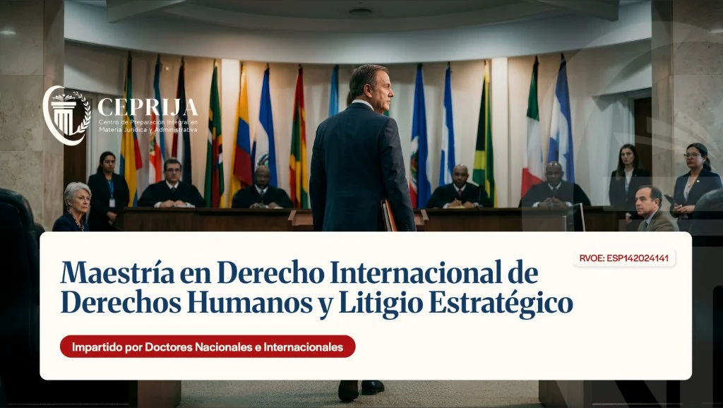 Maestría en Derecho Internacional de Derechos Humanos y Litigio Estratégico - imagen 1