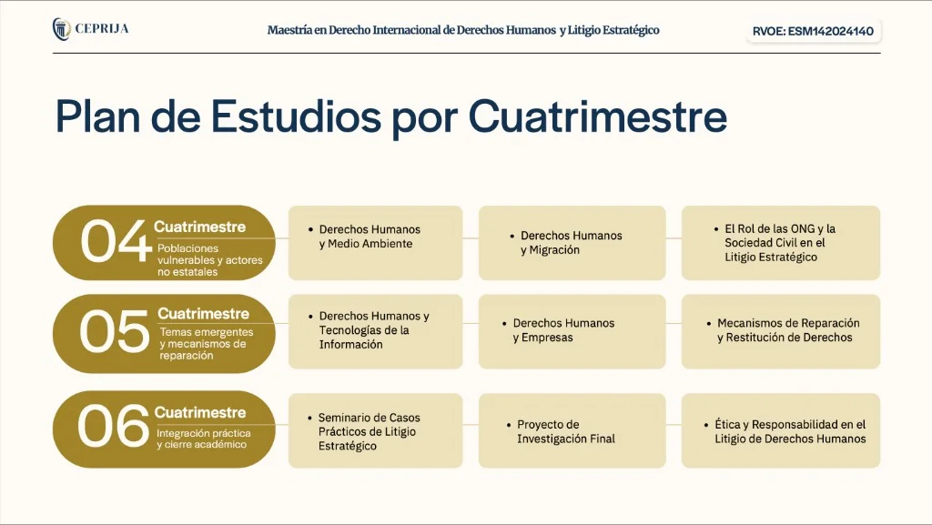 Maestría en Derecho Internacional de Derechos Humanos y Litigio Estratégico - imagen 3