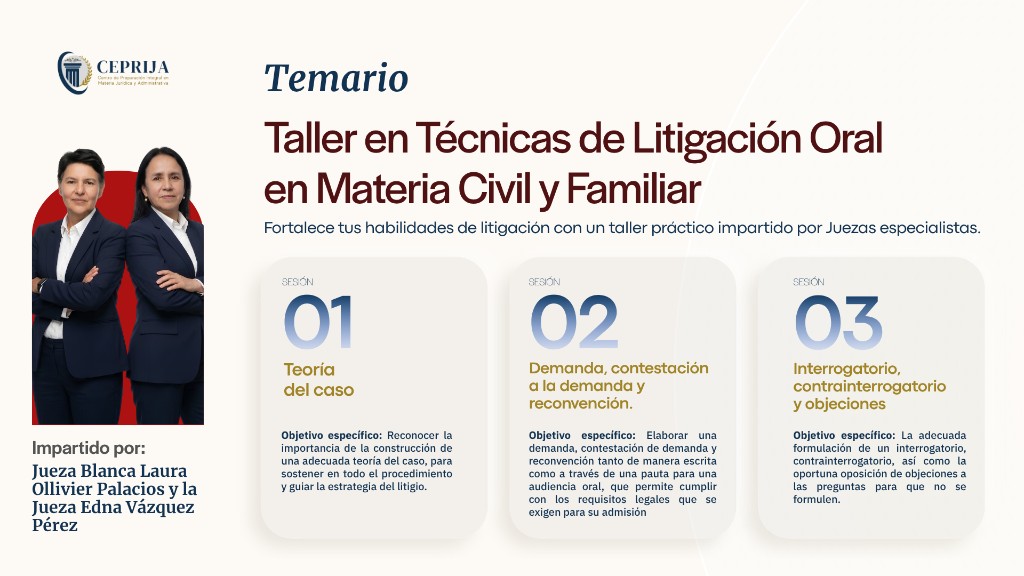 Taller en Técnicas de Litigación Oral con Base en el CNPCyF - imagen 1