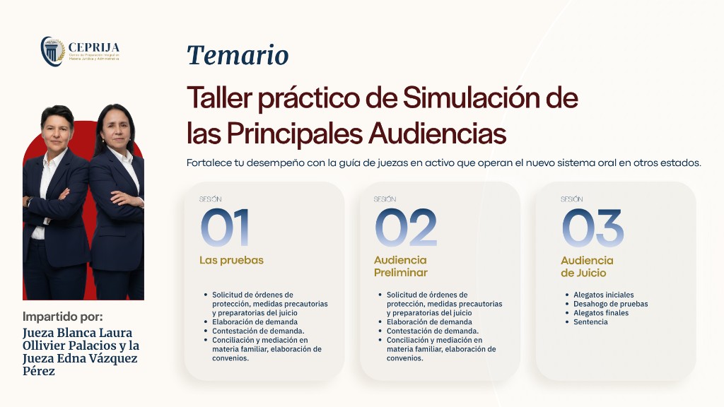 Taller de Simulación de las Principales Audiencias con Base en el CNPCyF - imagen 1